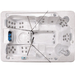 Спа бассейн Artesian Spas Bimini